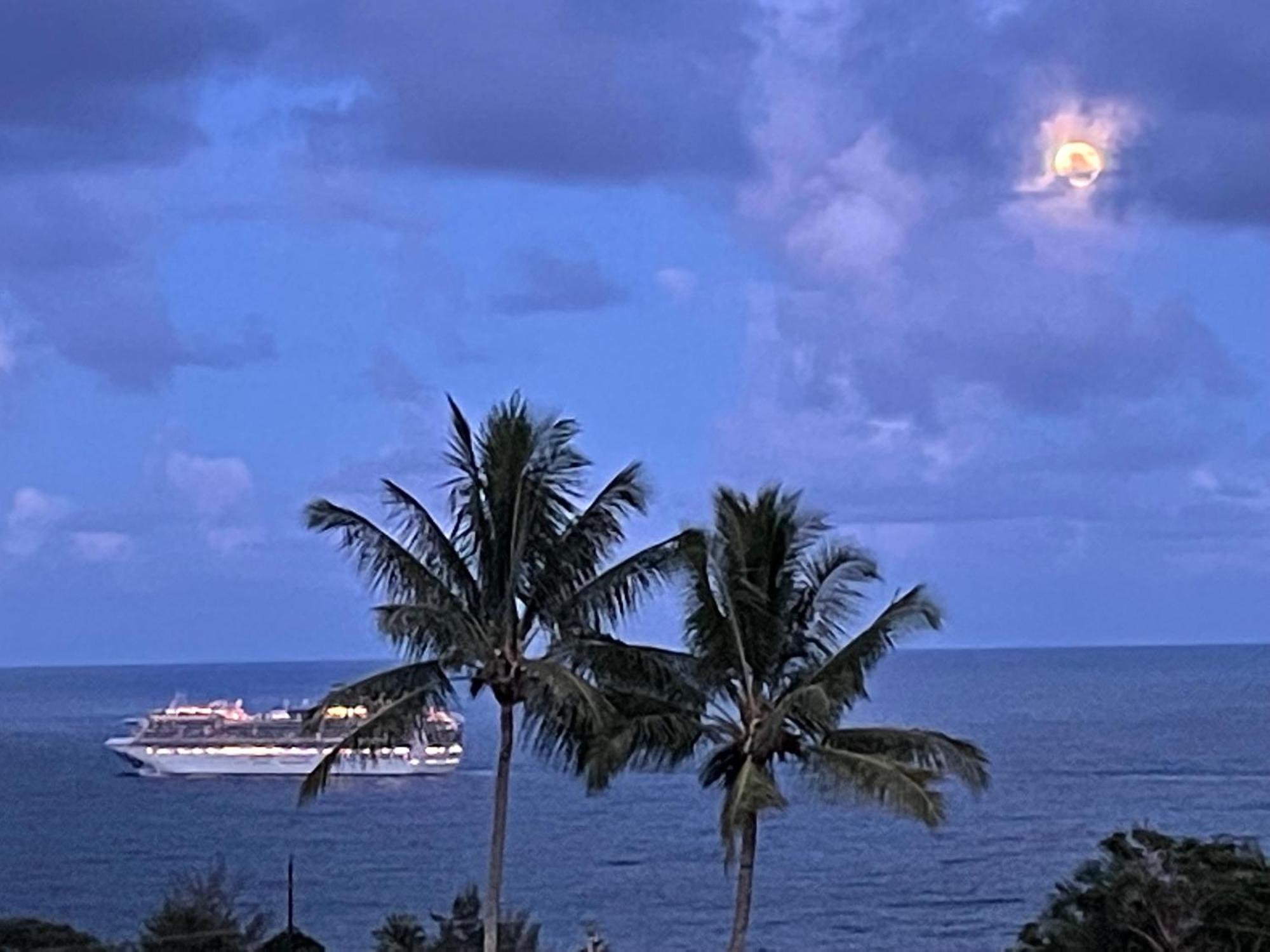 Hawaii Magic Skies Farmstay Paukaa Exterior photo