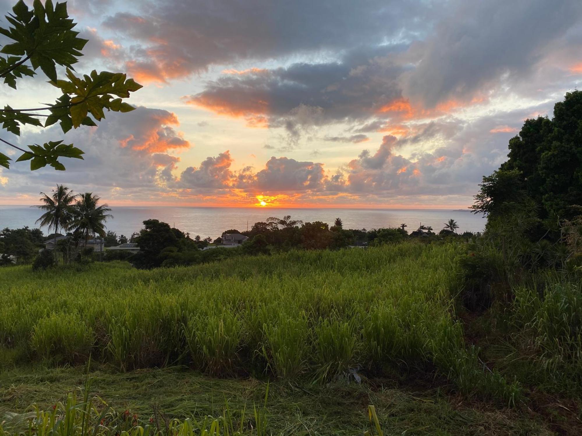 Hawaii Magic Skies Farmstay Paukaa Exterior photo